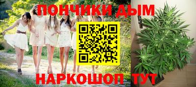 мдпв Будённовск