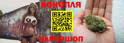 гашик Бузулук