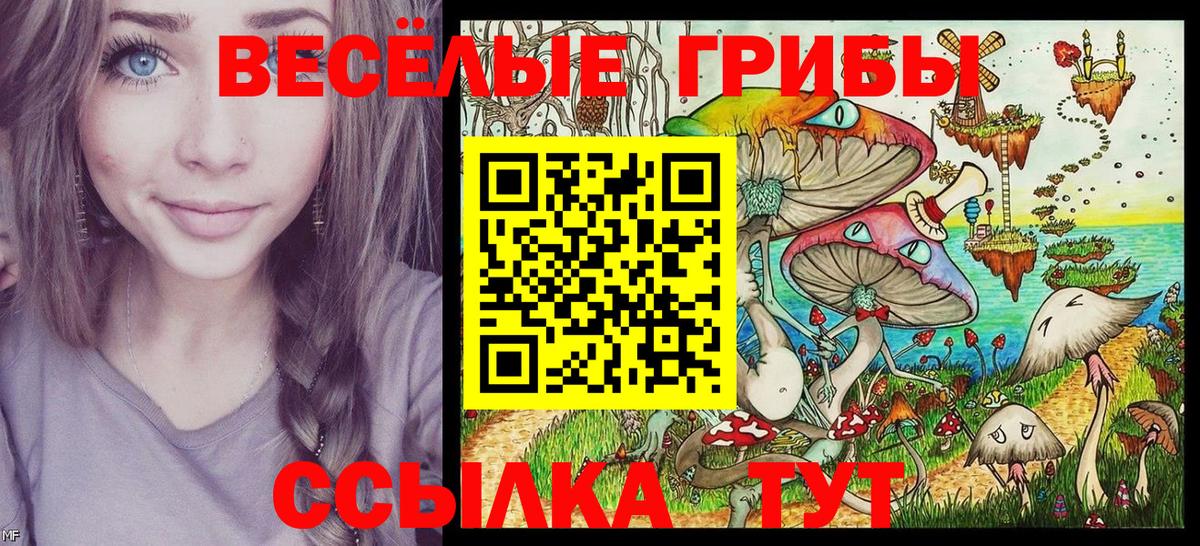 Ростов-на-Дону  Галлюциногенные грибы прущие грибы  Вход с VPN 